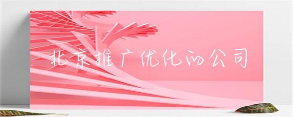 北京推廣優化的公司